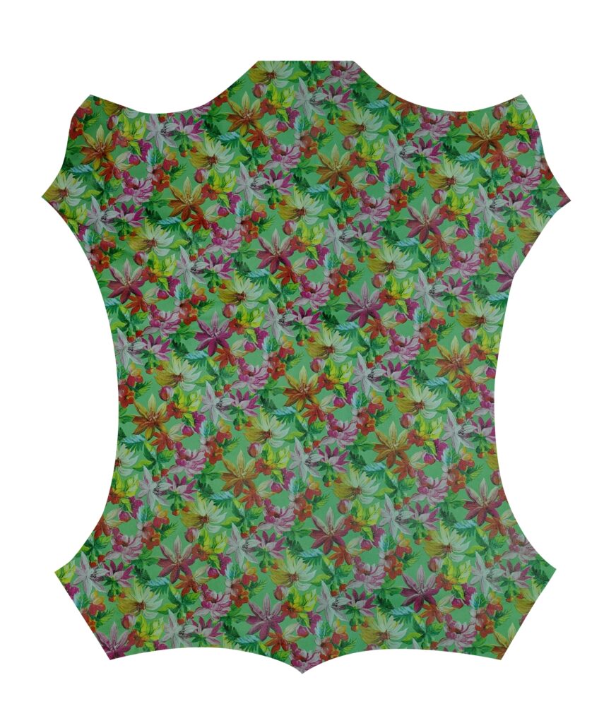 antartida verde