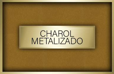 botones otonoinvierno 2024 25 charolmetalizado