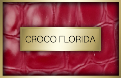 botones otonoinvierno 2024 25 crocoflorida
