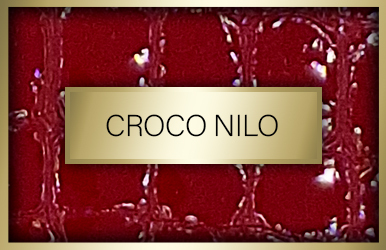 botones otonoinvierno 2024 25 croconilo