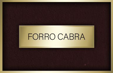 botones otonoinvierno 2024 25 forro