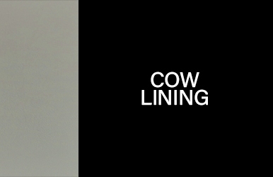 botones otonoinvierno2025 cowlining