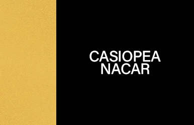 botones primaveraverano2025 casiopeanacar