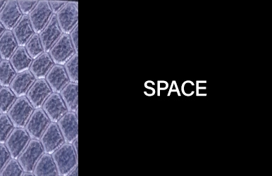 botones primaveraverano2025 space