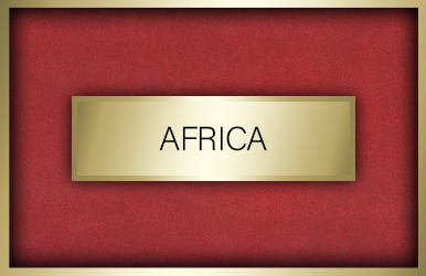 botones stock africa