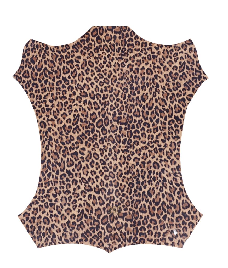 leopardo