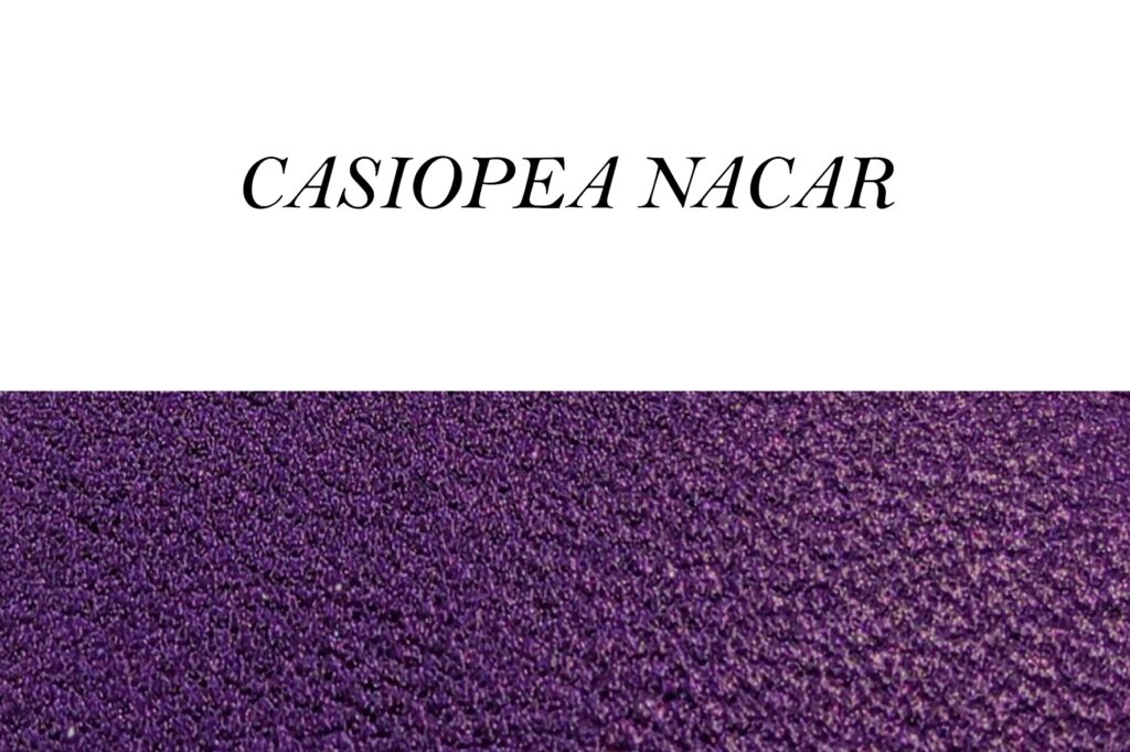 primavera verano 26 casiopea nacar